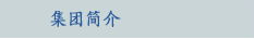 公司简介